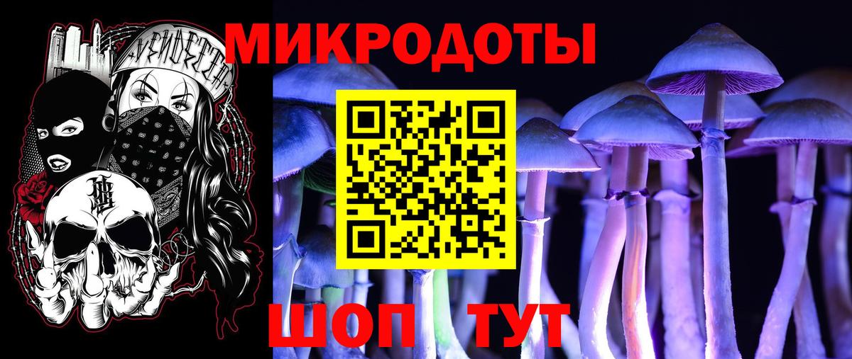 Псилоцибиновые грибы Psilocybine cubensis Арзамас