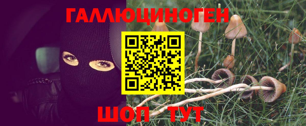 Псилоцибиновые грибы мицелий  Вход с VPN  Арзамас 